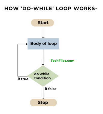 How Do While Loop Works