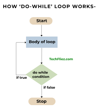How Do While Loop Works