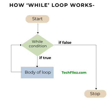 How While Loop Works