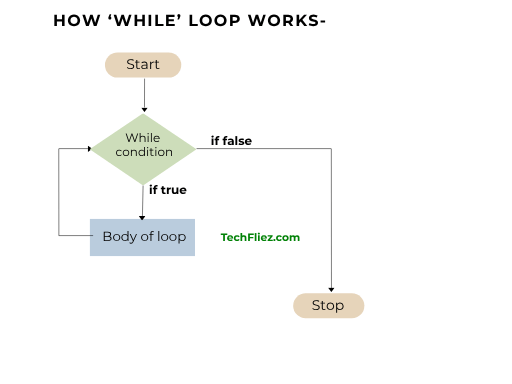 How While Loop Works